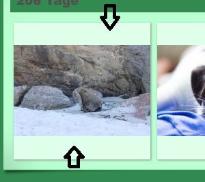 2017-12-28.png